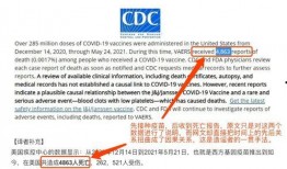 辉瑞前总裁爆料新闻最新,真相与争议并存