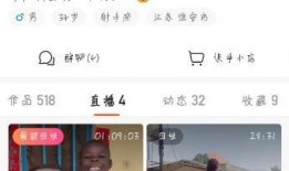 飞哥爆料视频在线观看全集,揭秘幕后真相，全集在线观看