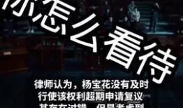 福建新闻今日焦点爆料视频,揭秘重大事件背后真相