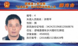 最新巡查员爆料新闻报道,最新新闻报道揭秘现场实况