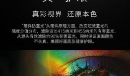 8060电影在线观看,重温经典，感受时光流转