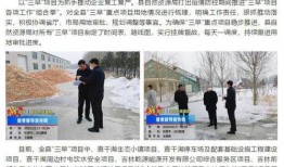 前郭县最新爆料,探寻背后的真相与影响”