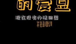 娱乐吃瓜口播文案,吃瓜群众狂欢，明星幕后故事大曝光！