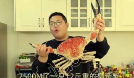 网红律师吃瓜,揭秘娱乐圈背后的法律风云