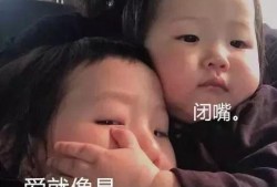 抖音娱乐吃瓜一胖一瘦,一胖一瘦，娱乐界的身材风云