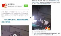 中央新闻媒体爆料电话,揭秘幕后真相