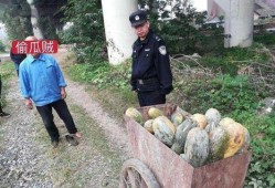 甘谷网红吃瓜事件视频曝光,视频曝光引发网友热议