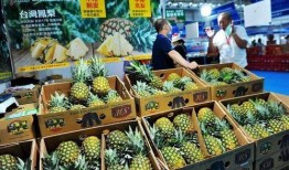 台湾凤梨爆料视频大全,揭秘幕后真相与趣味瞬间