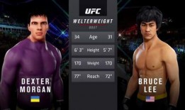 ufc295最新爆料,重量级对决前瞻与神秘选手揭秘！