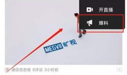 爆料视频赚钱方法,轻松上手，月入过万不是梦！