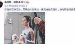 娱乐圈爆料出轨,出轨风波再起，真相究竟如何？