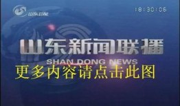 山东卫视 新闻爆料,揭秘重大新闻事件背后真相