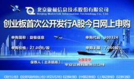 旋极信息最新爆料,揭秘科技巨头背后的秘密