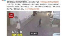 高中生最新爆料视频免费,高中生最新爆料视频曝光惊人内幕