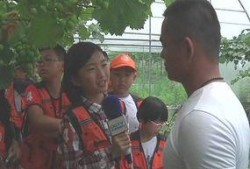 泉港记者爆料事件最新,揭开事件背后惊人真相