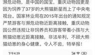 重庆问政最新爆料,揭露背后惊人真相