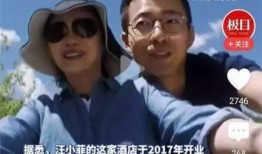 咏春小李爆料视频大全集,揭秘咏春拳法精髓与实战技巧