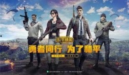 和平精英最新爆料id,神秘ID揭示游戏新动向