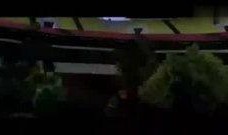 综艺艺人爆料视频大全,视频大全背后的惊人真相