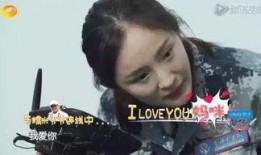 刘恺威老爹爆料视频,揭秘娱乐圈不为人知的一面