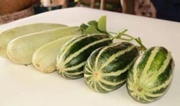 小时候吃的网红瓜,甜蜜滋味，回忆满满