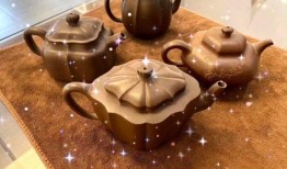 紫砂爆料新闻视频大全,揭秘新闻视频大全背后的精彩瞬间