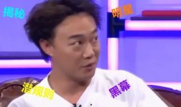 娱乐圈明星暗中爆料是什么,揭秘幕后真相与隐私风暴