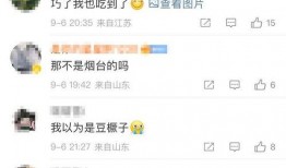 海肠捞饭爆料视频播放在线观看,在线观看视频，揭秘美食背后的故事