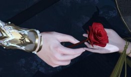 逆水寒最新爆料结婚是哪一集,结婚盛典，情动江湖！