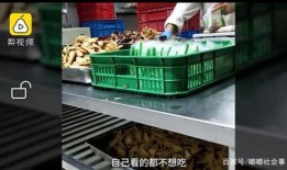 安徽杆岗香食品爆料视频,揭秘传统美食背后的秘密