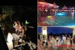 海天盛筵谁爆料的啊最新,真相背后谁在暗中操控？