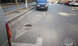 长春养猪场爆料视频,揭露养殖场内幕，关注动物福利与环保问题