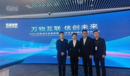 万国新区爆料最新消息是真的吗,最新消息真实性揭秘