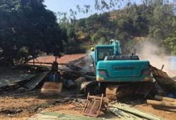 长春养猪场爆料视频,揭露养殖场内幕，关注动物福利与环保问题