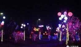 夜色免费在线观看,沉浸式光影之旅
