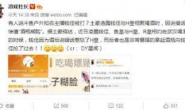 原神大舅哥最新爆料网站,揭秘游戏新内容与未来动向