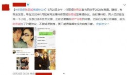 爆料千万豪宅事件视频,视频爆料引发热议