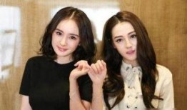 娱乐圈爆料官方女主小说