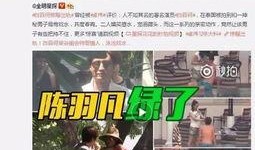 章三丰被爆料视频在线观看,揭秘背后真相，在线观看全程回顾