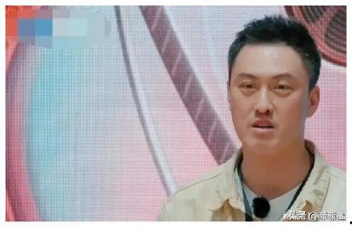 娱乐圈吃瓜最多的是谁,揭秘谁才是最热心的“瓜农”