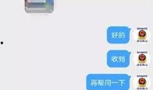 河北爆料最新消息视频播放,视频揭露惊人内幕，速看！