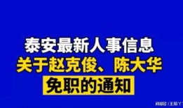 大华爆料视频最新消息,揭秘事件背后惊人真相
