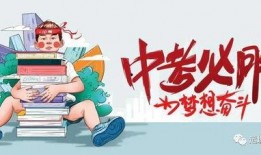 仙鱼最新爆料消息视频,最新爆料视频深度解析